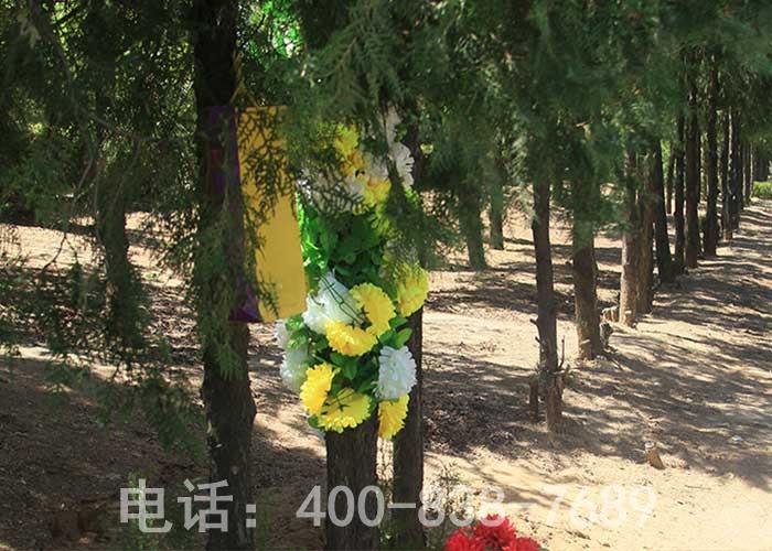 树葬图 树葬图